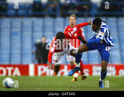 Reda Johnson de Sheffield Wednesday et Bradley Pritchard de Charlton Athletic (à gauche) se battent pour le ballon pendant le match de npower League One à Hillsborough, Sheffiled. Banque D'Images