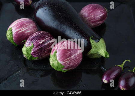 Bébé noir, humide, et violet aubergine à rayures gros plan extrême. Banque D'Images