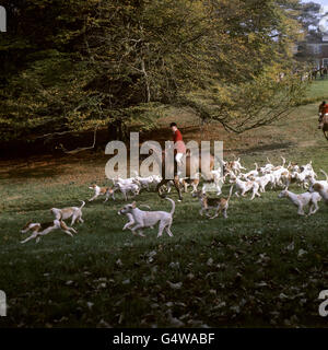 Huntsman Brian Walters avec le pack à la rencontre d'ouverture des Hampsire Foxhounds à Newton Valence place, Hampshire Banque D'Images