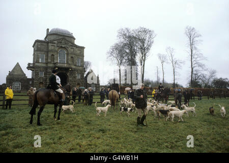 La chasse - Chasse au duc de Beaufort - Gloucestershire Banque D'Images