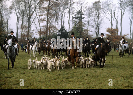 La chasse - Chasse au duc de Beaufort - Gloucestershire Banque D'Images