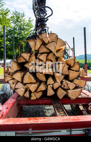 Bois de chauffage, grumes empilées pour brûler dans le poêle ou cheminée, Banque D'Images