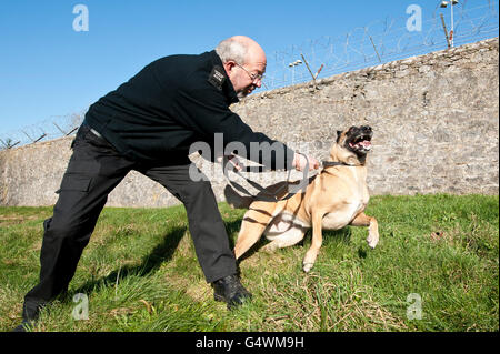 La Police de la région sud-ouest de l'essais de chien Banque D'Images