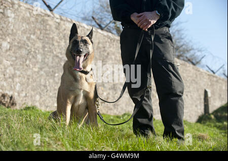 La Police de la région sud-ouest de l'essais de chien Banque D'Images
