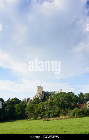 Château de Weißenstein, Regen, Allemagne, Bavière, Bayern, Niederbayern, Basse-Bavière Banque D'Images