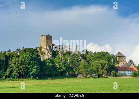 Château de Weißenstein, Regen, Allemagne, Bavière, Bayern, Niederbayern, Basse-Bavière Banque D'Images