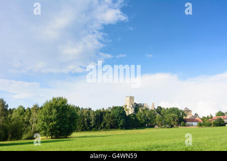 Château de Weißenstein, Regen, Allemagne, Bavière, Bayern, Niederbayern, Basse-Bavière Banque D'Images