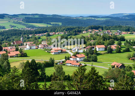 Neuschönau, Nationalpark Bayerischer Wald, forêt de Bavière, Allemagne, parc national de Bavière, Bayern, Niederbayern, Basse-Bavière Banque D'Images