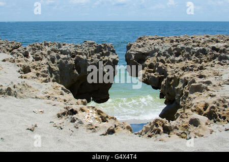 Blowing Rocks Preserve Hobe Sound , Indian River Lagoon, Jupiter Beach Florida Banque D'Images