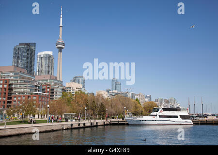 TORONTO - Le 17 mai 2016 : Harbourfront est un quartier sur la rive nord du lac Ontario, dans le centre-ville de l'EC Banque D'Images