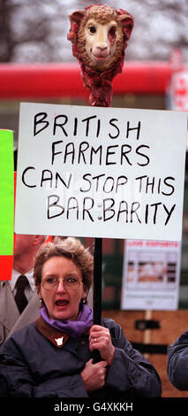 Les militants à l'extérieur de l'hôtel Hilton, à Londres, où se tient une conférence nationale des agriculteurs de deux jours. Les manifestants soulignent la cruauté des exportations d'animaux vivants dans le but d'obtenir le soutien d'un projet de loi sur l'interdiction du commerce. * le manifestant tient un écriteau avec les mots 'les agriculteurs britanniques peuvent arrêter cette barbarie'. Banque D'Images