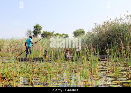 Le Botswana, au nord-ouest, Ngamiland North, Okavango Delta, sur l'expédition de Mokoro Banque D'Images