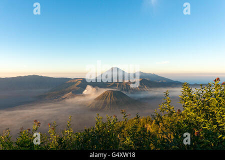 L'Indonésie, Java, Pasuruan, vue de paysage volcanique Banque D'Images