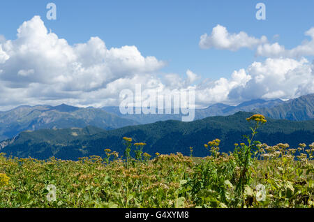 La Géorgie, Svanétie, Mestia, randonnée à la pause, Koruldilakes place, à en direction de Mt. Ushba (dans les nuages) Banque D'Images