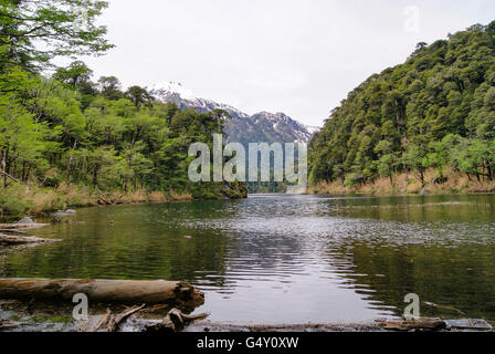 Le Chili, le Parc National de Huerquehue, lac Chico Banque D'Images