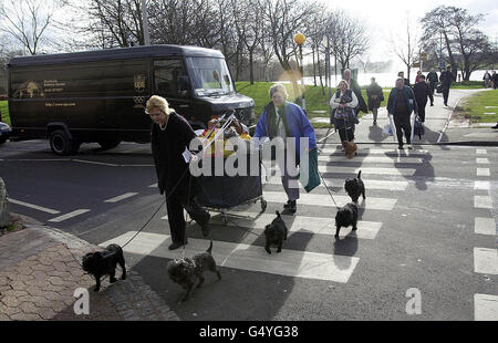 Éleveurs de chiens arrivant au Crufts 2000, le premier jour du premier salon canin au monde au National Exhibition Centre de Birmingham.Plus de 100,000 amateurs de chiens devraient inonder les portes du NEC au cours de l'événement de quatre jours.* qui se termine le 12/03/2000, dans ce qui sera sa dernière année en tant qu'événement exclusivement britannique. Banque D'Images