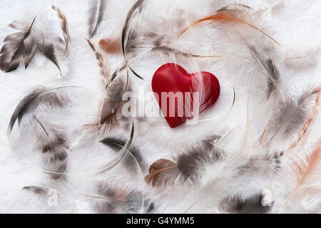 Coeur rouge et plumes naturelles sur du papier absorbant. Banque D'Images