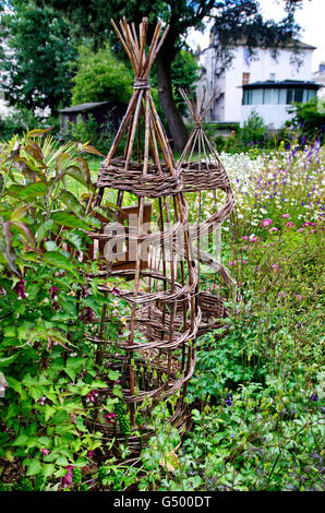 Une paire de glissières de canne dans un jardin de fleurs sauvages à Hove, Royaume-Uni. Banque D'Images