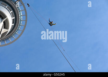 La NOUVELLE ZELANDE, Auckland, SkyJump de la Sky Tower à Auckland, Sky Tower, Skyjump Banque D'Images