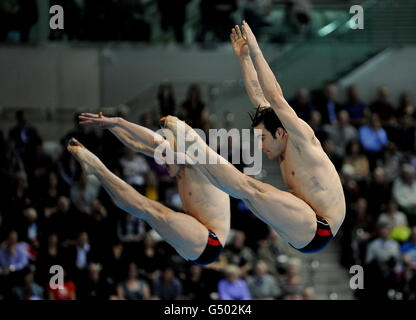 Alexandre Despatie et Reuben Ross, du Canada, ont participé à la finale de 3m du Springboard synchronisé par les hommes lors de la 18e coupe du monde de plongée Visa de la FINA au Centre aquatique du Parc olympique de Londres. Banque D'Images