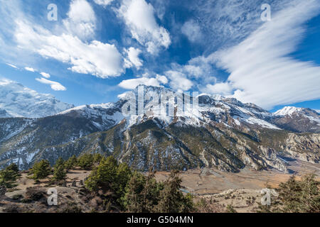 Le Népal, Région de l'Ouest, Bhakra, sur le circuit de l'Annapurna - Jour 6 - Journée d'acclimatation à Braga - à partir du sol vers le ciel Banque D'Images