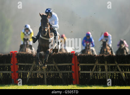 Courses hippiques - course de chasse nationale l'après-midi - Lingfield Park.Netherby, monté par Joshua Moore, saute le dernier pour remporter la course de haies de Maiden de Lingfieldpark.co.uk Banque D'Images