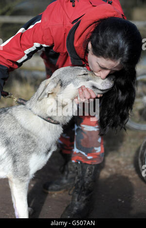 Rachel Bailey accueille son chien Vika après la course de chiens de traîneau Wyedean Quest à Mallards Pike dans la forêt de Dean, Gloucestershire. Banque D'Images