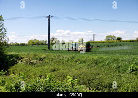 Un grand tracteur pulvériser un champ sur une journée chaude dans le Lincolnshire. Banque D'Images