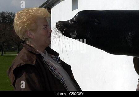 PAM St Clement, qui joue Pat Evans dans les Eastenders de la BBC, vient en face-à-face avec Berkeley, un Sealion californien, alors qu'elle lance la deuxième série télévisée de Whipsnade d'ITV au Wild Animal Park. Banque D'Images