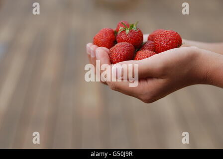 Les fraises dans les mains de childs Banque D'Images