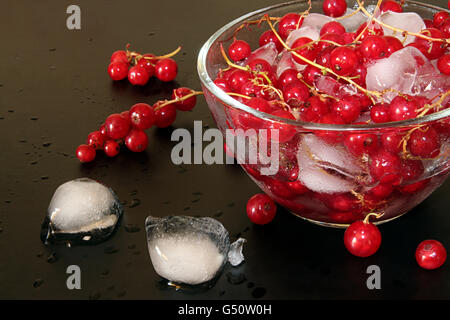 Groseille rouge avec de la glace dans un bol de verre sur fond noir et le dégel de la glace en cubes Banque D'Images