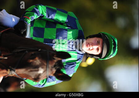 Courses hippiques - course de chasse nationale l'après-midi - Lingfield Park. N. Halley, Jockey Banque D'Images