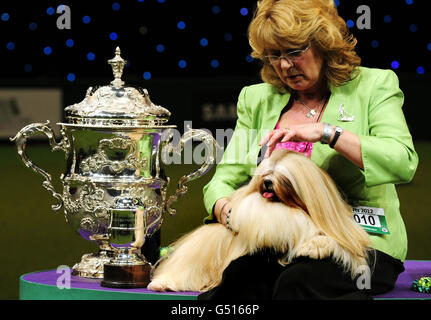 Crufts 2012 Banque D'Images