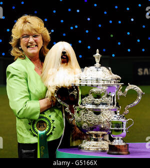 Elizabeth, une Lhassa Apso, gagnante du titre de meilleur spectacle, avec la propriétaire Margaret Anderson, au Crufts 2012 tenu au NEC, Birmingham. Banque D'Images