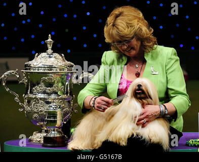 Crufts 2012 Banque D'Images