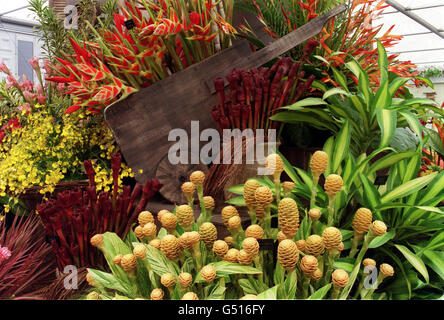 L'exposition de fleurs de la Barbade Horticultural Society qui a remporté un prix d'or au Chelsea Flower Show, 2000 à Londres. Banque D'Images