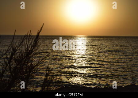 L'accent sur l'horizon alors que le soleil se couche sur la mer Méditerranée avec une plante dans l'avant-plan, de Cala Saona Formentera Banque D'Images