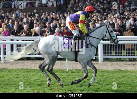 Courses hippiques - 2012 Cheltenham Festival - deuxième jour - Cheltenham Racecourse.Grands crus, criblés par le jockey Tom Scudamore, qui va poster pendant la RSA Chase pendant la Ladies Day, au Cheltenham Festival. Banque D'Images