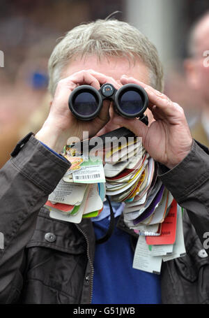 Courses hippiques - 2012 Cheltenham Festival - première journée - Cheltenham Racecourse.Un coureur regarde la course de haies de l'OLBG Mares pendant le premier jour de la Cheltenham Fesitval 2012 à Cheltenham Racecourse, Gloucestershire. Banque D'Images