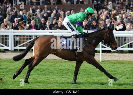 Les courses de chevaux - 2012 Cheltenham Festival - Jour 1 - l'Hippodrome de Cheltenham Banque D'Images