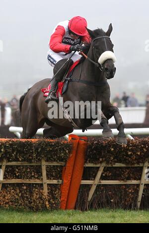 Big Buck est monté par Ruby Walsh lors de la course mondiale de Ladbrokes le jeudi de St Patrick, pendant le Cheltenham Festival. Banque D'Images