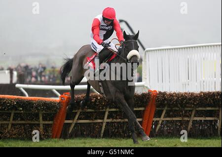 Big Buck est monté par Ruby Walsh lors de la course mondiale de Ladbrokes le jeudi de St Patrick, pendant le Cheltenham Festival. Banque D'Images