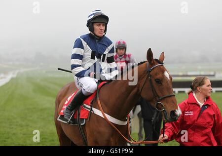 Courses hippiques - 2012 Cheltenham Festival - troisième jour - Cheltenham Racecourse.Thehillofuisseach et le jockey Barry Geraghty sont conduits au début de la finale des Pertemps le jeudi de St Patrick, pendant le Cheltenham Festival. Banque D'Images