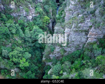 L'Afrique du Sud, Eastern Cape, District de l'Ouest, Route des jardins, les tempêtes River Gorge Banque D'Images