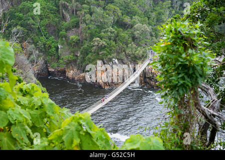 L'Afrique du Sud, Eastern Cape, District de l'Ouest, Garden Route, Otter Trail, pont de corde à la tempête et de l'estuaire de la rivière Banque D'Images