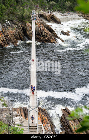 L'Afrique du Sud, Eastern Cape, District de l'Ouest, Garden Route, Otter Trail, pont de corde à la tempête et de l'estuaire de la rivière Banque D'Images