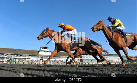 Courses hippiques - Winter Derby Day - Lingfield Park.Le Premio Loco, monté par George Baker, remporte le Blue Square Winter Derby lors de la fête du Derby d'hiver à l'hippodrome de Lingfield. Banque D'Images