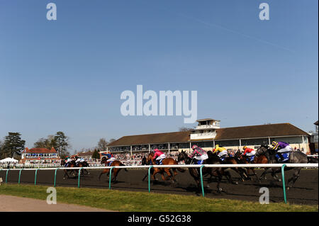 Les courses de chevaux - Hiver Derby Day - Lingfield Park Banque D'Images