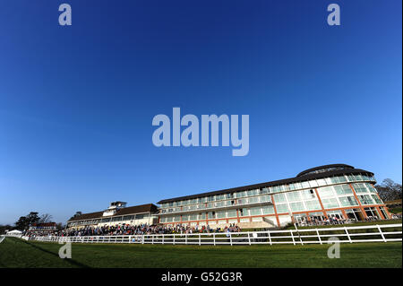 Courses hippiques - Winter Derby Day - Lingfield Park. Vue générale de l'hippodrome de Lingfield Park Banque D'Images