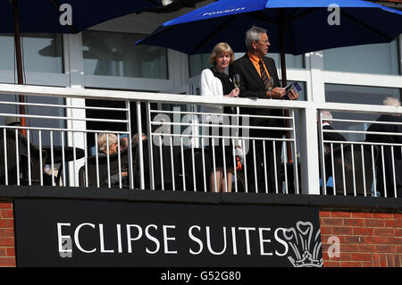 Les Racegoers s'imprégnent de l'atmosphère le jour du Derby d'hiver À l'hippodrome de Lingfield Park Banque D'Images